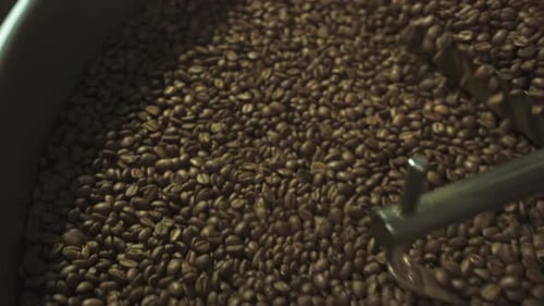Nahaufnahme des Prozesses der Kaffeeröstmaschine beim Schleudern heißer brauner Bohnen