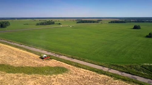 Vehicles Drive Along Rural Road Past Wheat Farmland
