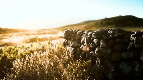 Muro de piedra fronterizo terrestre de Escocia al atardecer