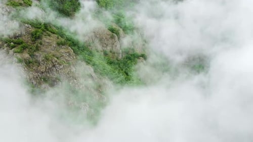 Nature Summer Green Forest Clouds Sky Morning Fog Mist Aerial