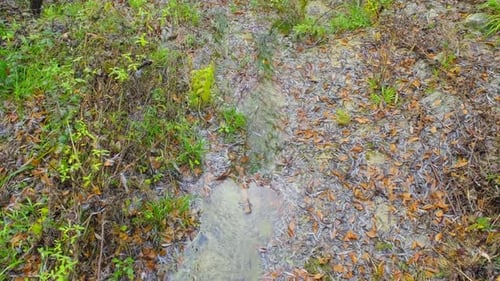 Running Water in Grass