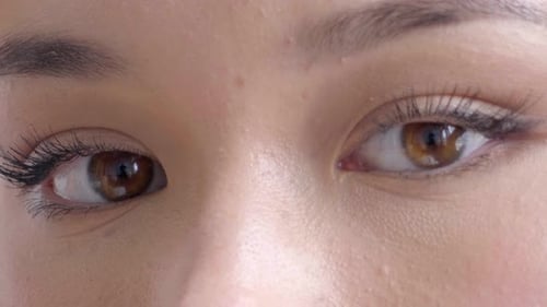 Extreme Close Up Of A Beautiful Woman's Eyes. Macro Shot