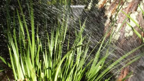 Wasser im Garten