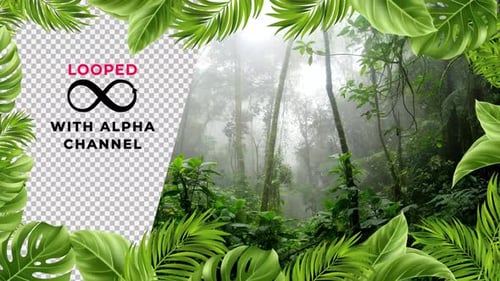 Tropical Leaf Frame Loop 4K