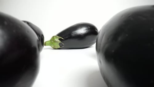 Eggplants 59