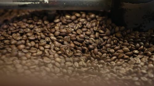 Coffee Beans Roasting in Industrial Machine