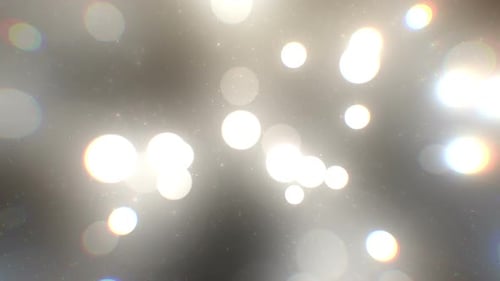 Form: Bokeh