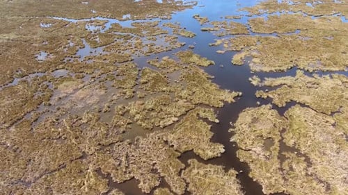 Luftschilf, Wasserwege, Sumpf und Feuchtgebiet im Delta