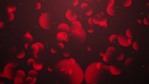 Red Abstract Bokeh Particle Background Loop