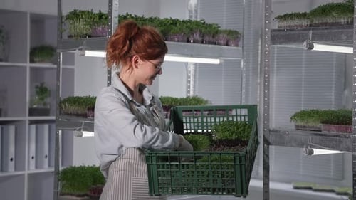 Woman Holding Crate of Freshly Harvested Microgreens