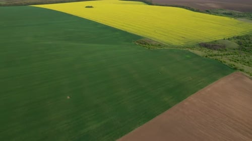 Rural area with yellow and green fields