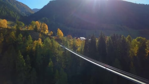 Man Walks on Hanging Rope River Bridge in Forest