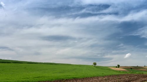 Rural landscape