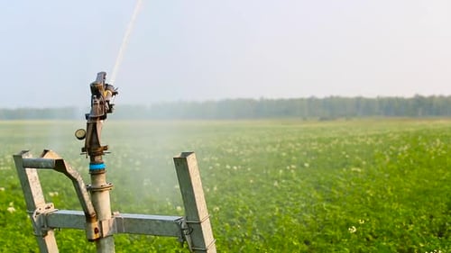Close Up Footage of Working Irrigation Sprincler on an Agricultural Field