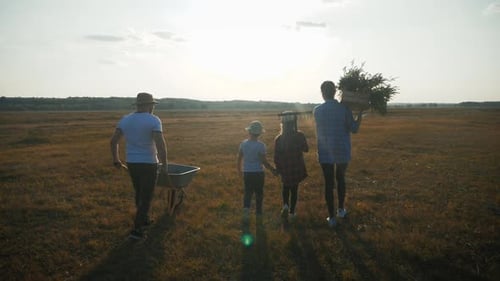 Family Farmers Are Walking Along the Field at Sunset, Carrying Box with Fresh Vegetables and Tools