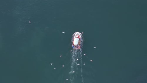 Ein kleines Fischerboot, das von Möwen beflockt wird