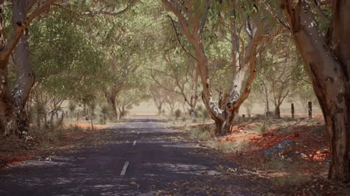 Open Road in Australia with Bush Trees