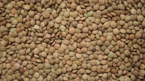 Green Lentils as Background