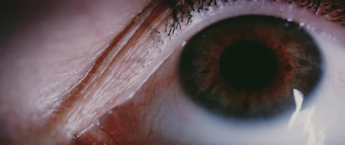 Man Eye