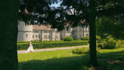 Young Wedding Couple in Love Newlyweds Walking in a Fabulous Sunny Park on a Background of Green