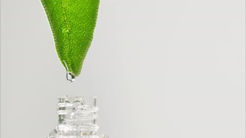 Dripping Leaf Juice Into Bottle Closeup Plant Oil