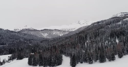 Forward Aerial Over Woods Forest with Snowy Mountain