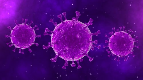 Rotating 3D Purple Virus Cells Loop for Medical Animation