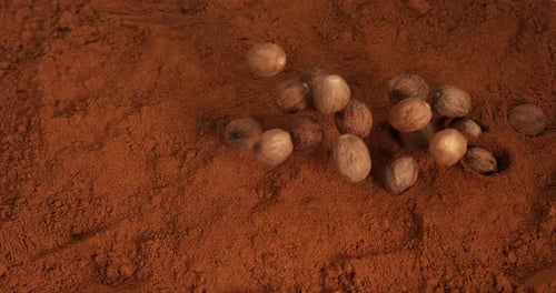 Muskatnuss, Myristica Fragans, Nuss fallend auf Muskatpulver, Zeitlupe 4K