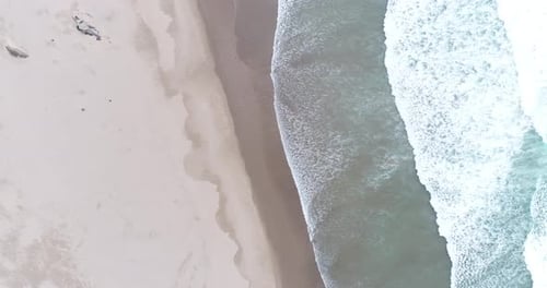 Natur mit Wellen an sonniger Küste