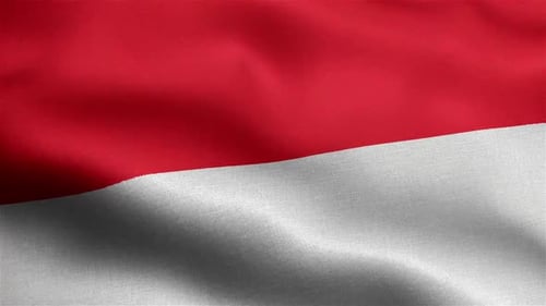Indonesian National Flag Waving Seamless Loop Animation