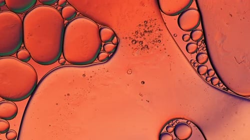 Abstract Footage of Colorful Cell-Like Shapes
