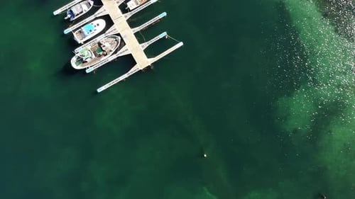 Marina Dock Basin mit Yachten und Booten. Luftbild.