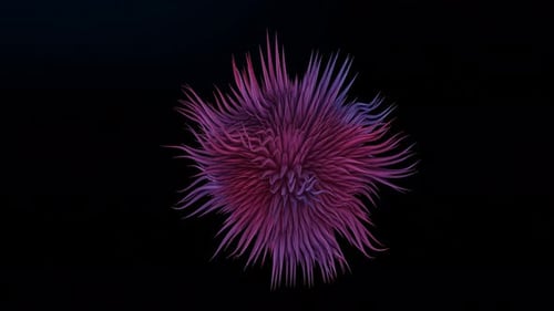 organic lines abstract animation. 4K red and blue mixed color