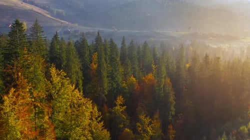 Aerial View of a Bright Autumn Forest and a Village on the Slopes of the Mountains in the Fog at