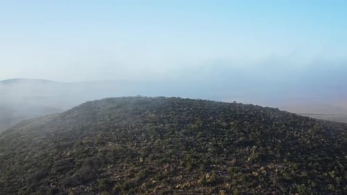 Thick Fog Surrounding the Forest Trees in the Valley - Aerial