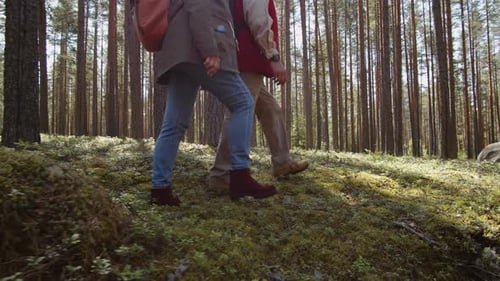 Zwei ältere Wanderer im Wald