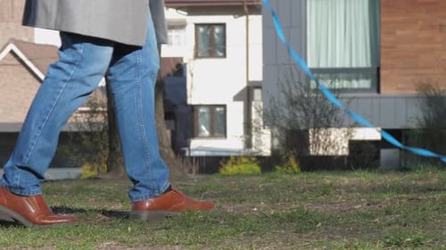 Small Dog Walks on Leash in Suburban Area