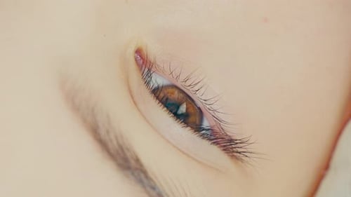 Eye Details of a Woman in Extreme Close Up