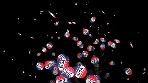Flying Election Brooches Package