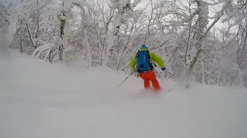 Skier Carving Down Snowy Mountain Through Trees