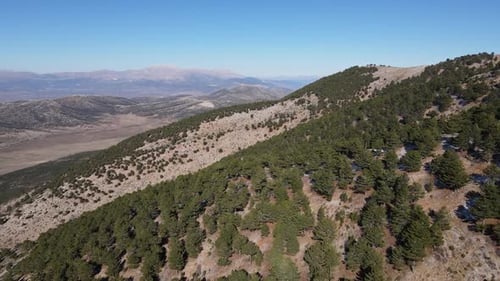 Berg Piste