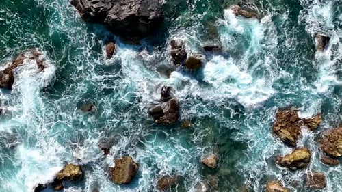 Wild beach on the Mediterranean Sea 4 K