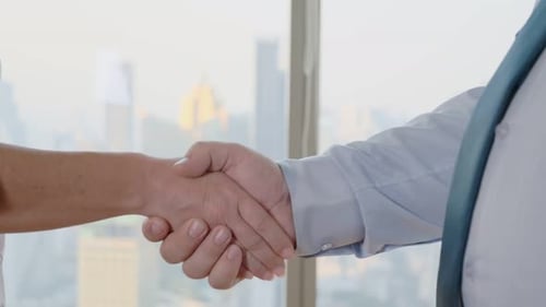 Handshake between people in business setting