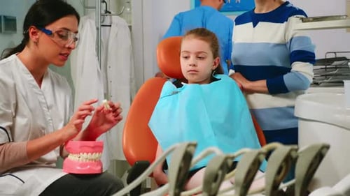 Dentist Explains Dental Model to Young Girl