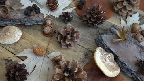 Autumnal Items on Wooden Table