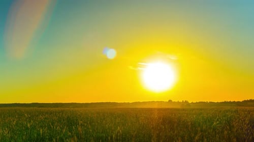 Sonnenuntergang über dem Feld