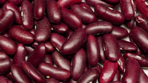 Macro Shot of Maroon Kidney Beans for Cooking