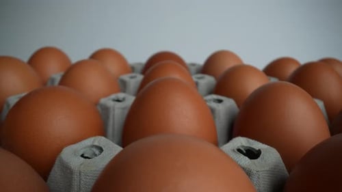 Raw Eggs 09