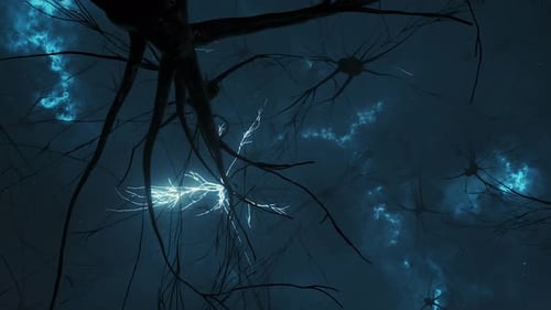 Animation of the Activity of Neurons and Synapses