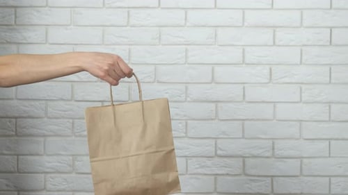Hand Holding Brown Paper Shopping Bag